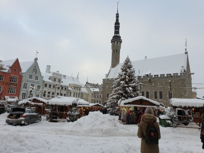 Tallin